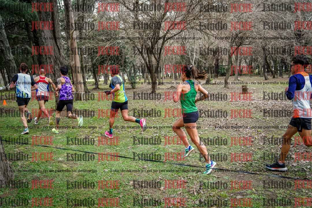 Fotos en el circuito
