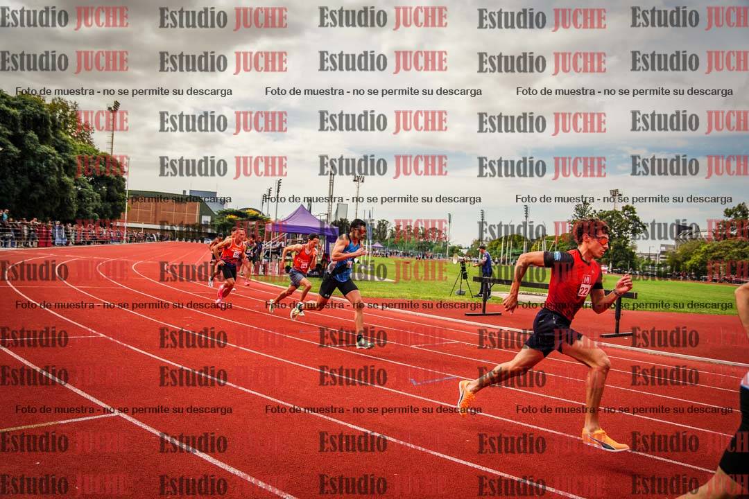 Fotos de los 800 m de varones