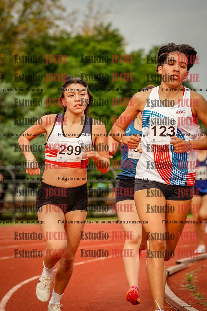 Fotos de los 1500 m llanos de mujeres