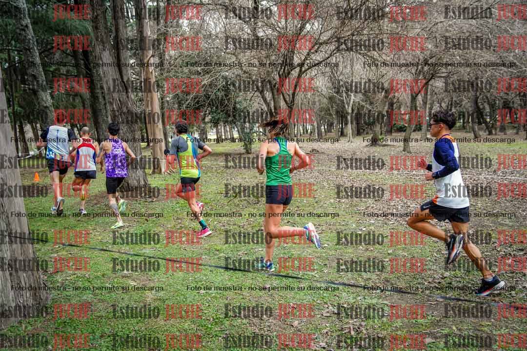 Fotos en el circuito