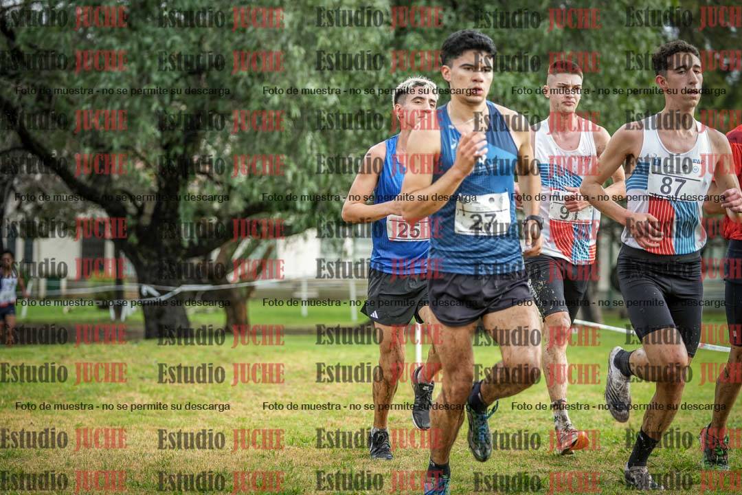 Fotos en el circuito