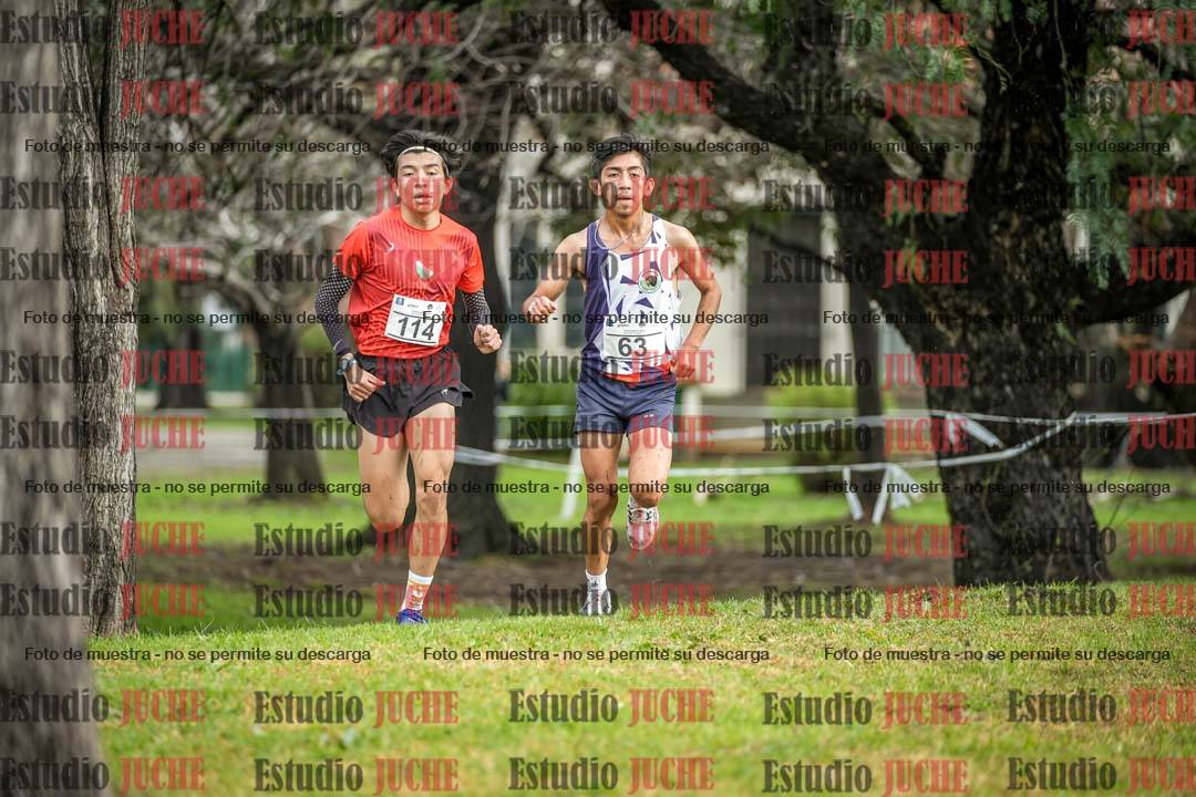 Fotos en el circuito