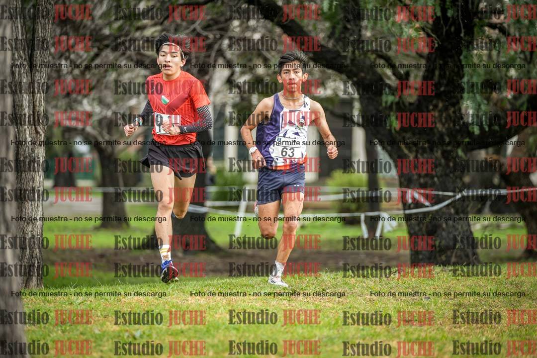 Fotos en el circuito