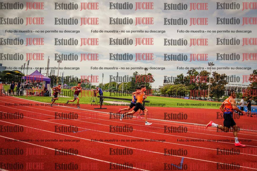 Fotos de los 800 m de varones
