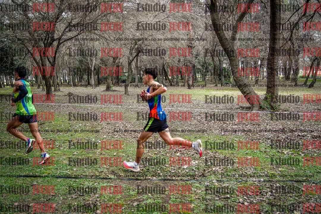 Fotos en el circuito