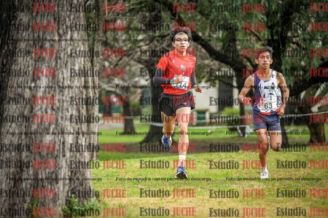 Fotos en el circuito