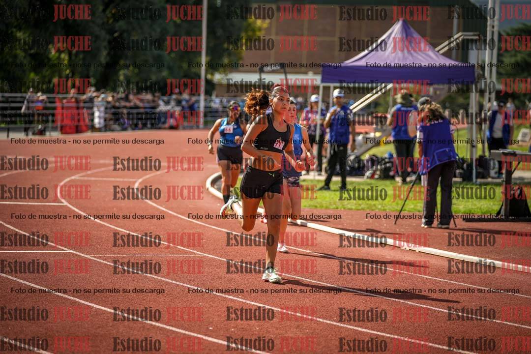 Fotos de los 800 m llanos de mujeres