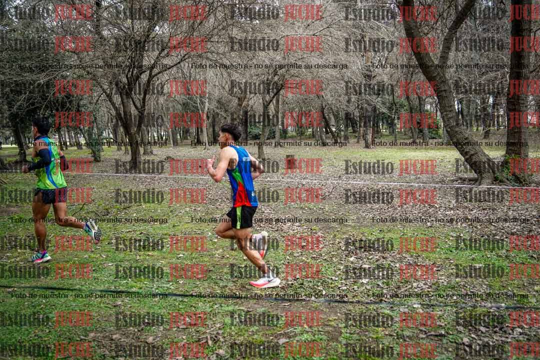 Fotos en el circuito