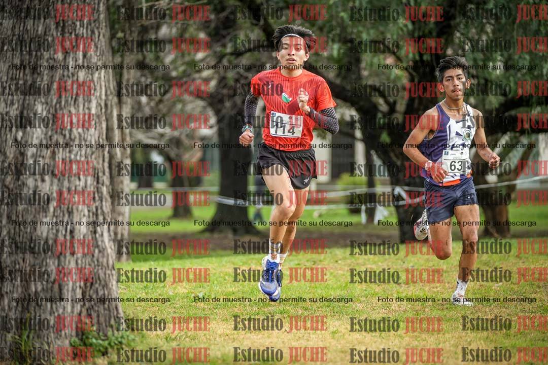 Fotos en el circuito