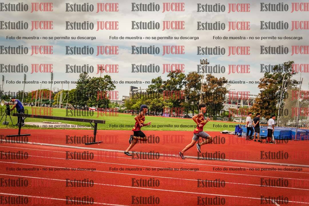 Fotos de los 800 m de varones
