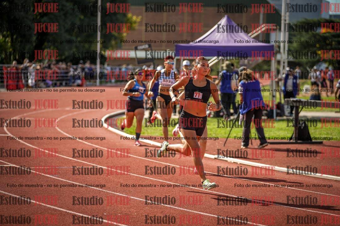 Fotos de los 800 m llanos de mujeres