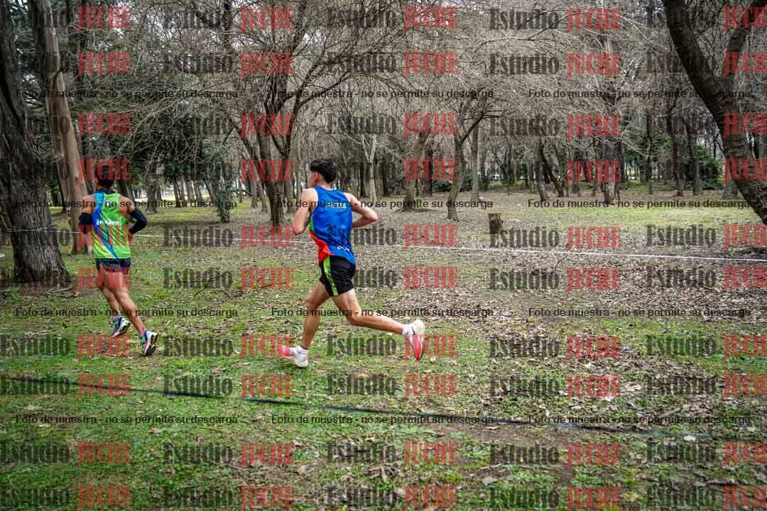 Fotos en el circuito