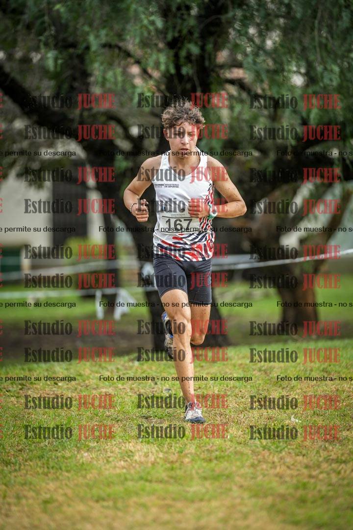 Fotos en el circuito