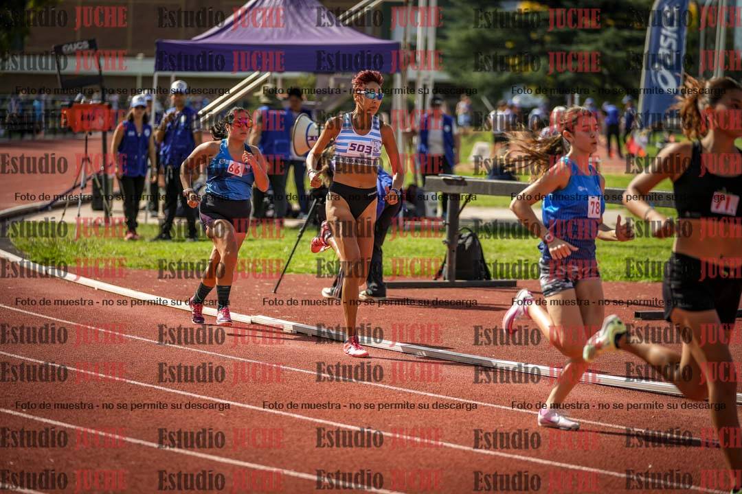 Fotos de los 800 m llanos de mujeres