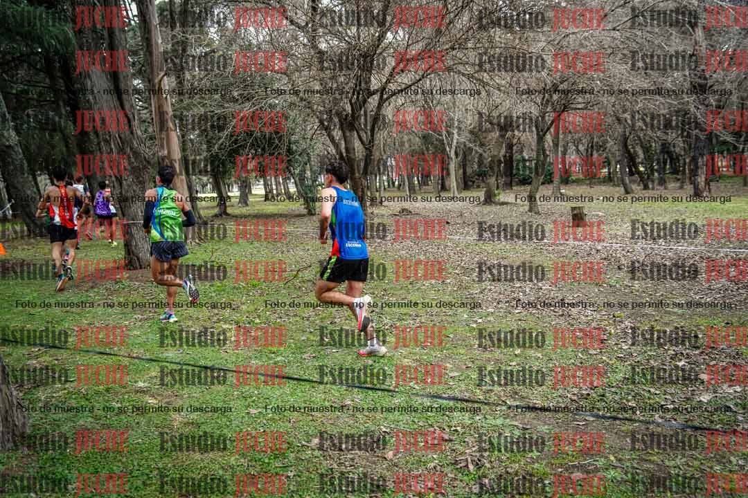 Fotos en el circuito