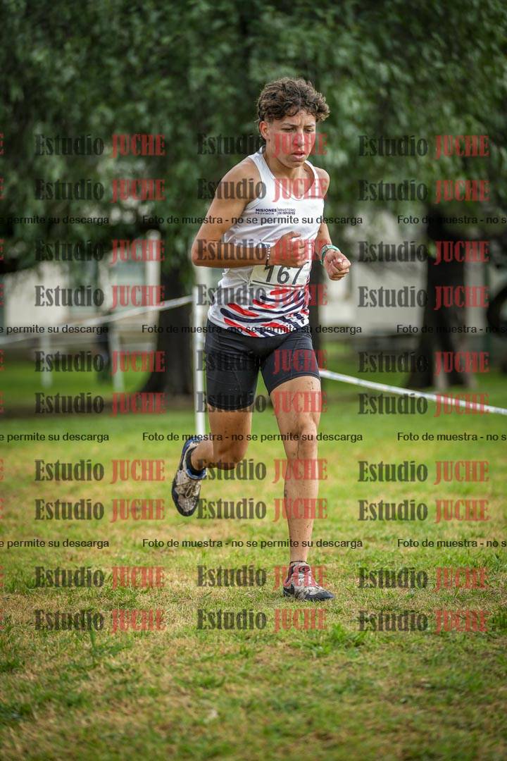 Fotos en el circuito