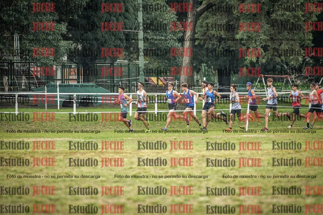 Fotos en el circuito