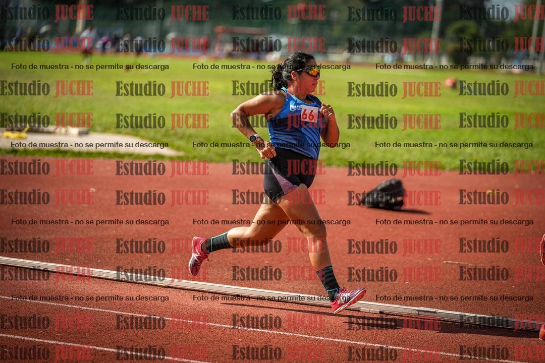 Fotos de los 800 m llanos de mujeres