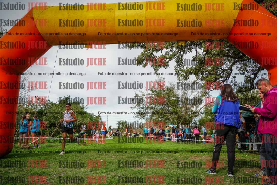 Fotos de la llegada del cross de 8000 m