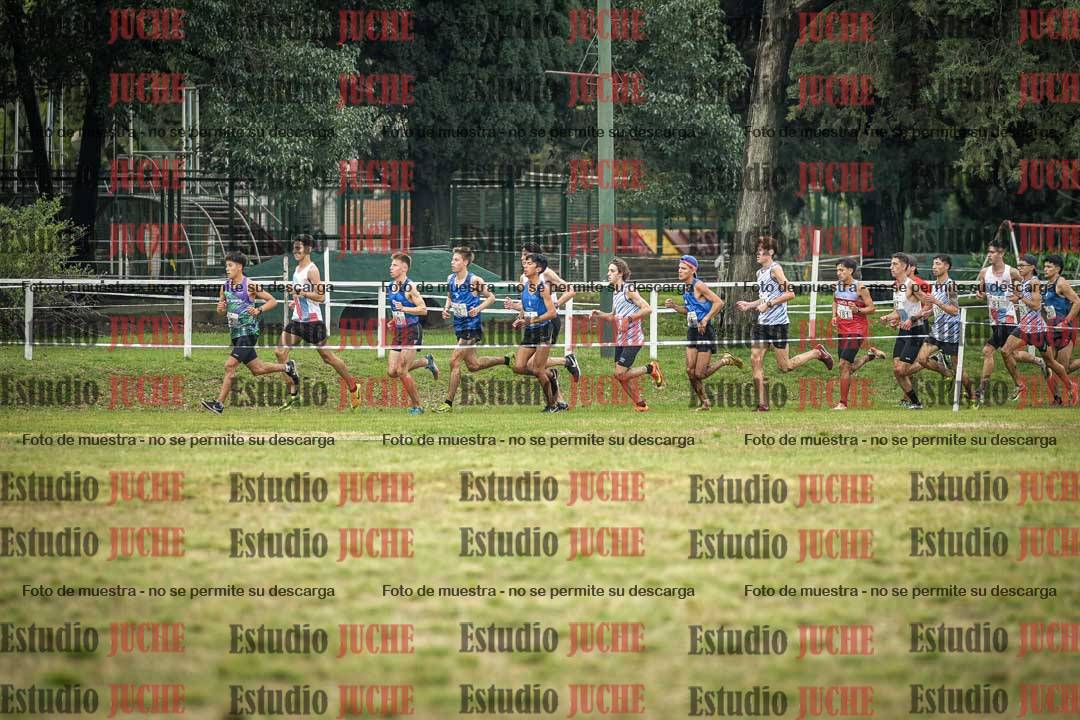 Fotos en el circuito