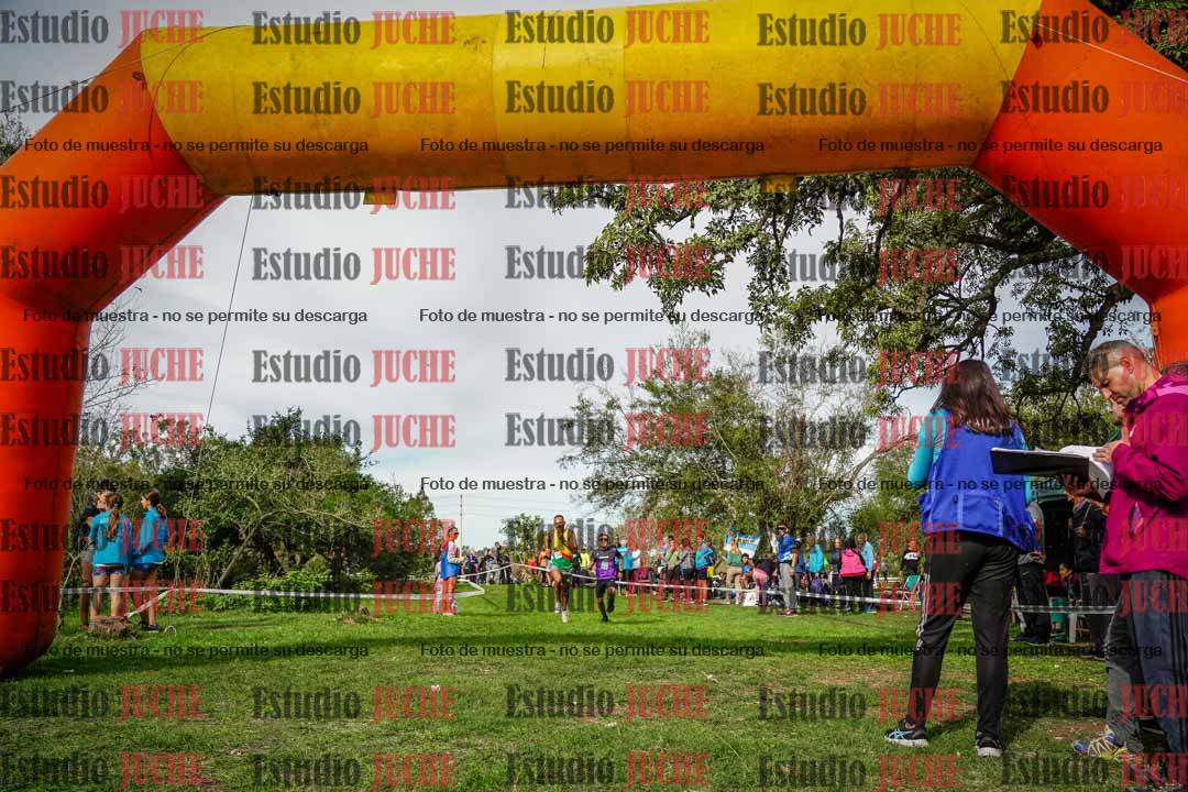 Fotos de la llegada del cross de 8000 m