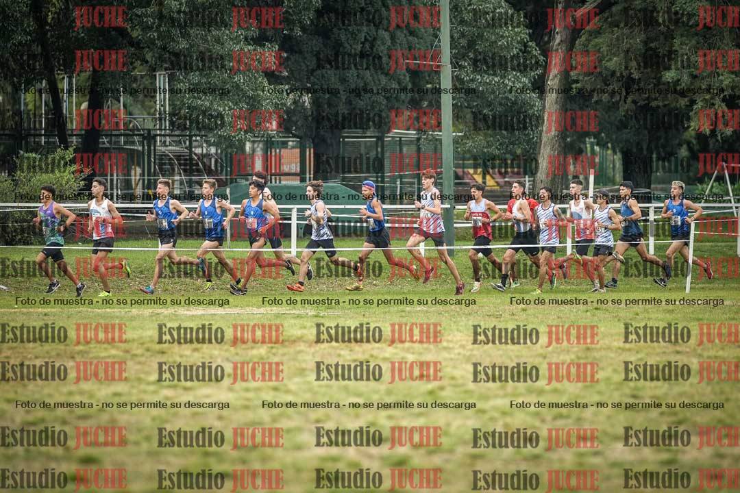Fotos en el circuito