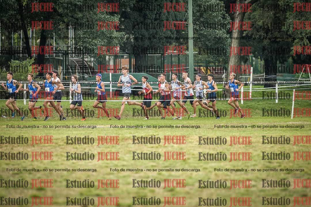 Fotos en el circuito
