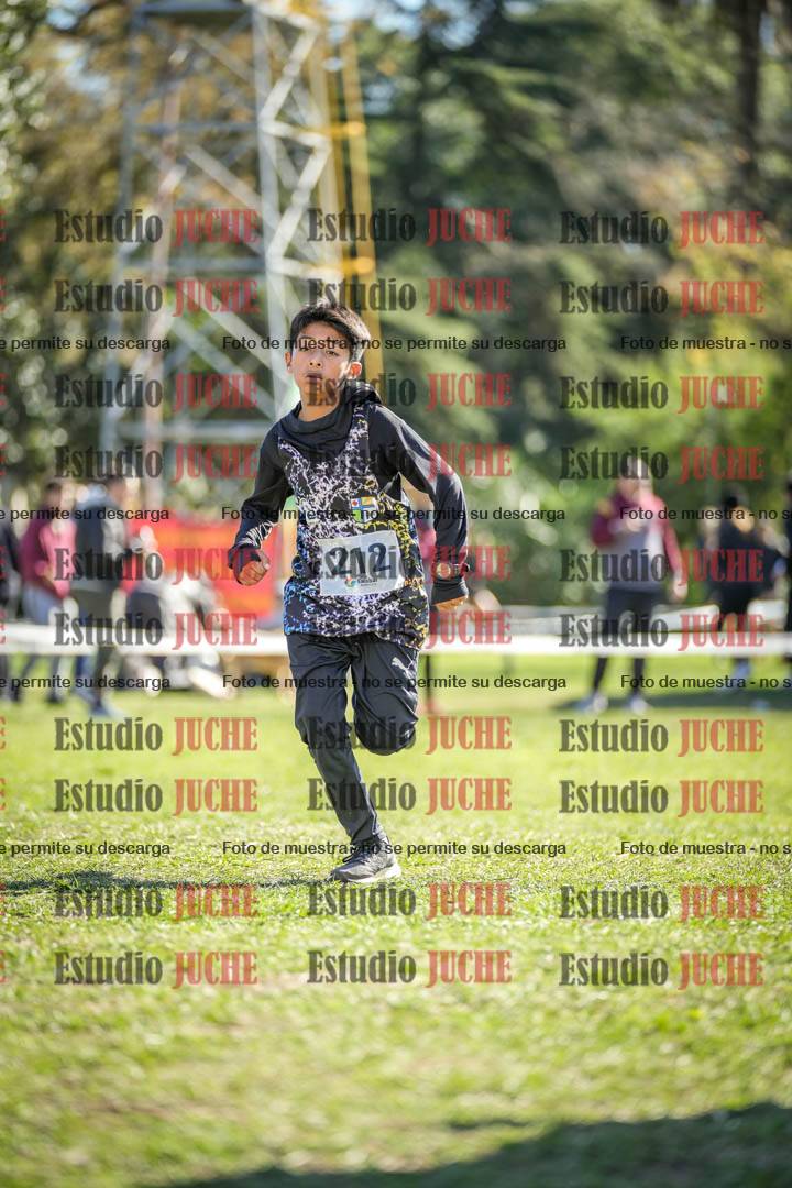 Fotos de la llegada del cross de 1000 m