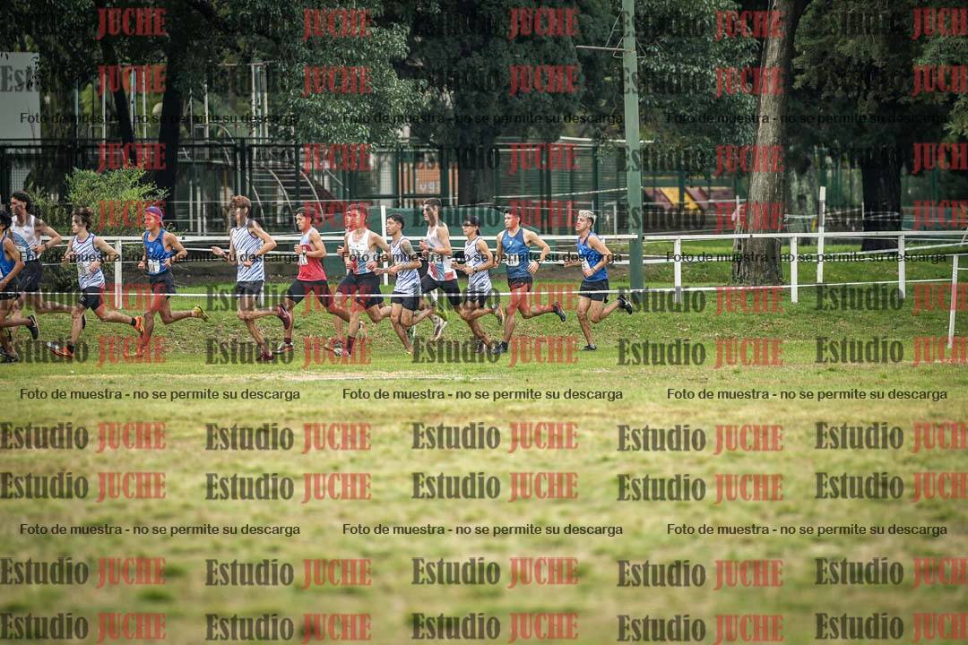 Fotos en el circuito