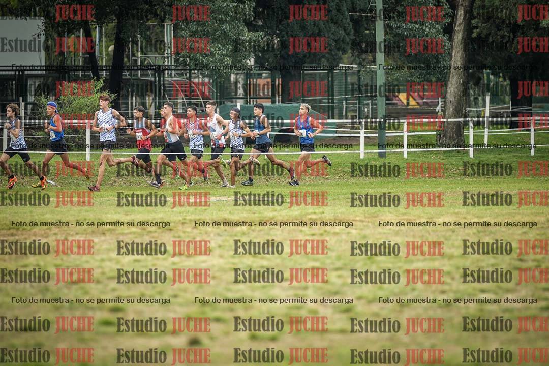 Fotos en el circuito
