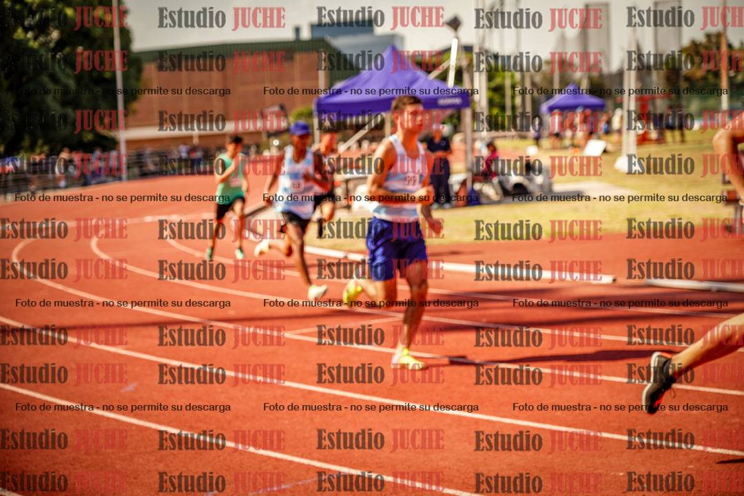 Fotos de los 800 m llanos de varones
