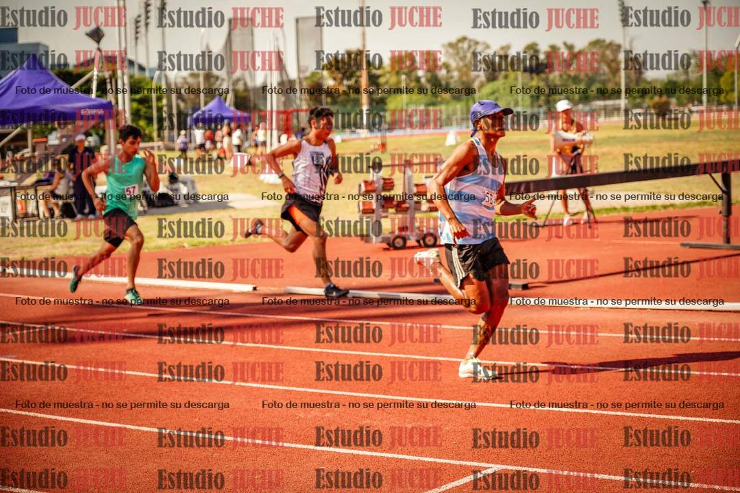 Fotos de los 800 m llanos de varones