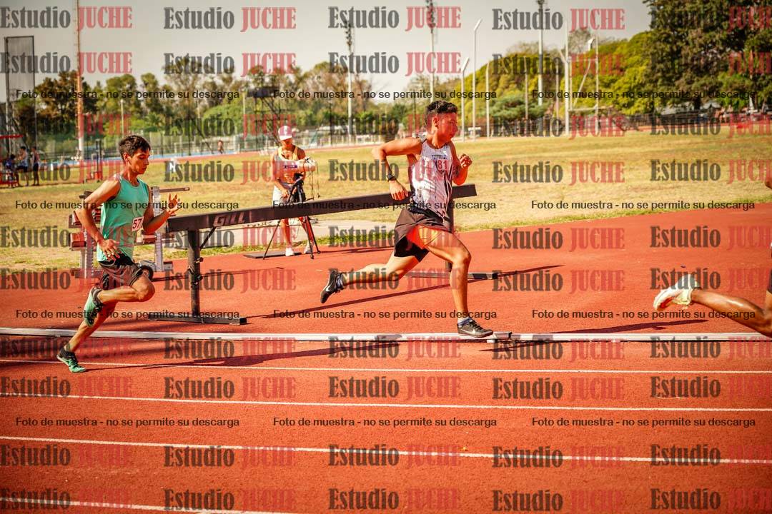 Fotos de los 800 m llanos de varones