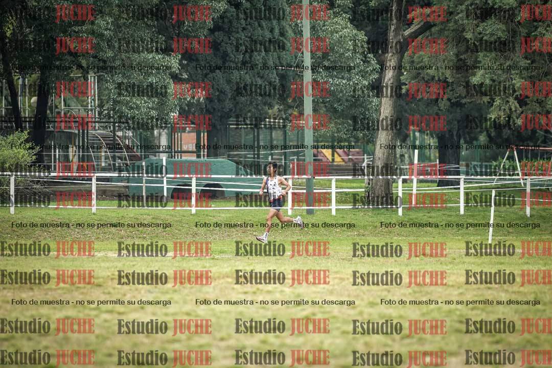 Fotos en el circuito