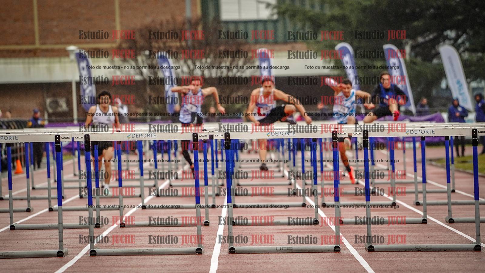 Fotos de los 110 m con vallas de varones - FINAL