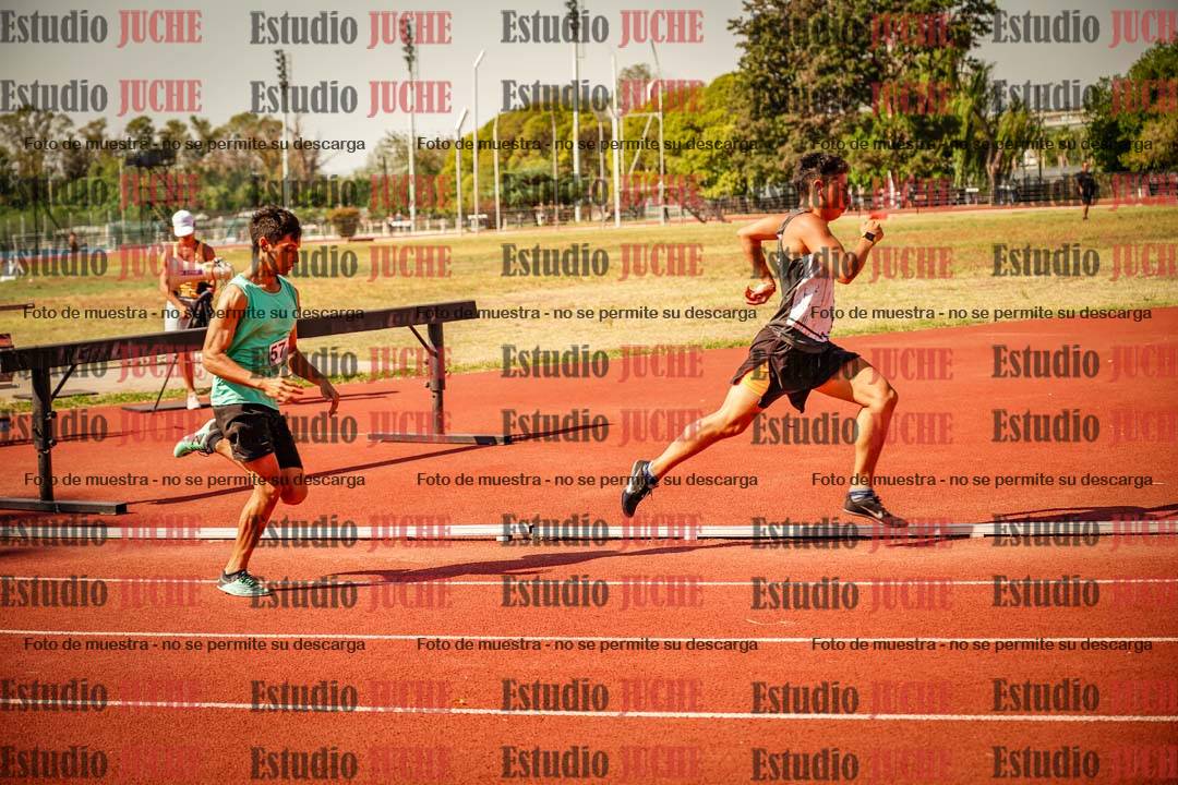 Fotos de los 800 m llanos de varones
