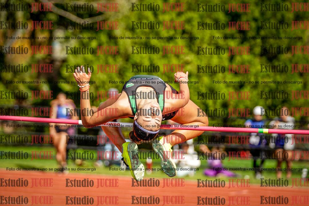 Fotos del salto en alto de mujeres
