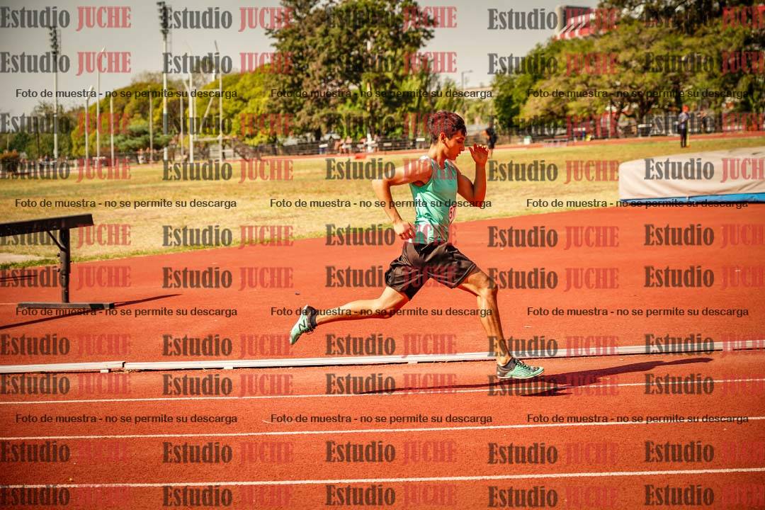 Fotos de los 800 m llanos de varones