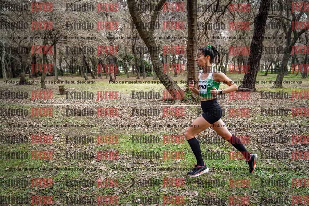 Fotos en el circuito