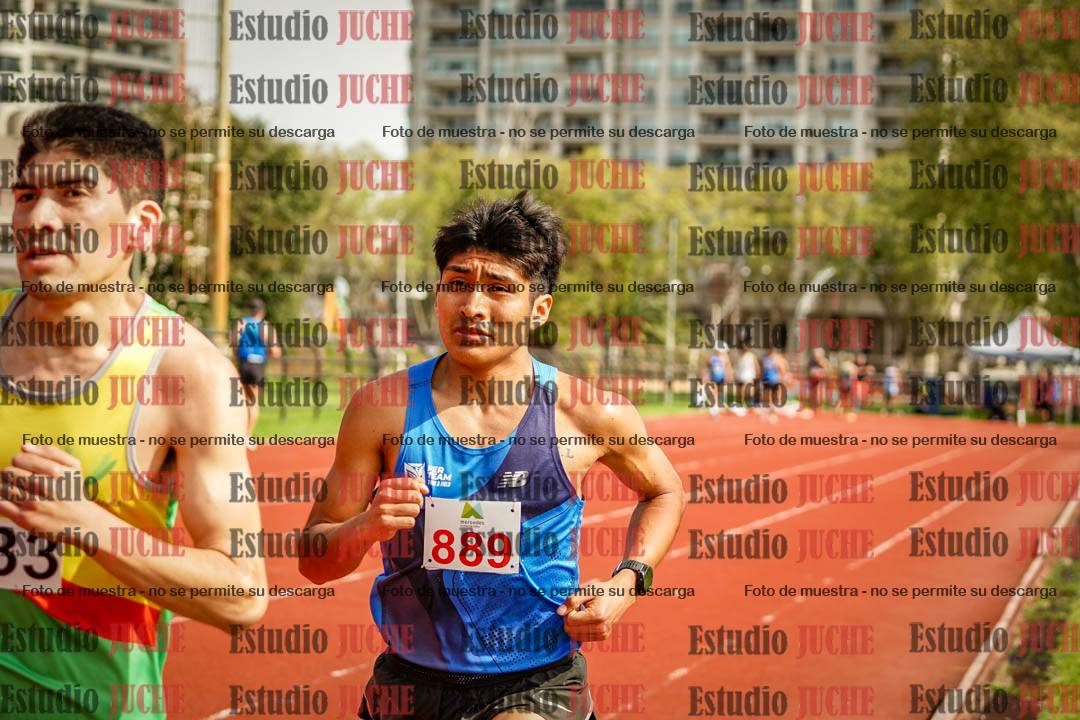 Fotos de los 3000 m llanos de varones