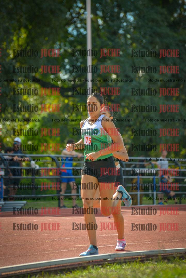 Fotos de los 800 m llanos de mujeres