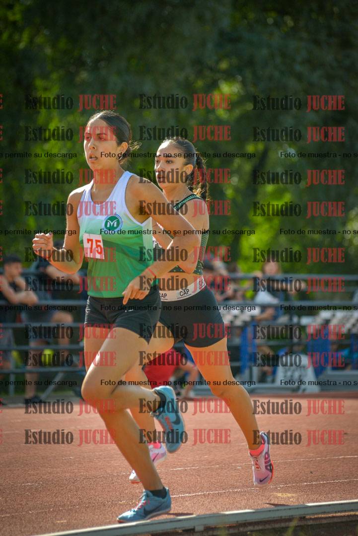 Fotos de los 800 m llanos de mujeres
