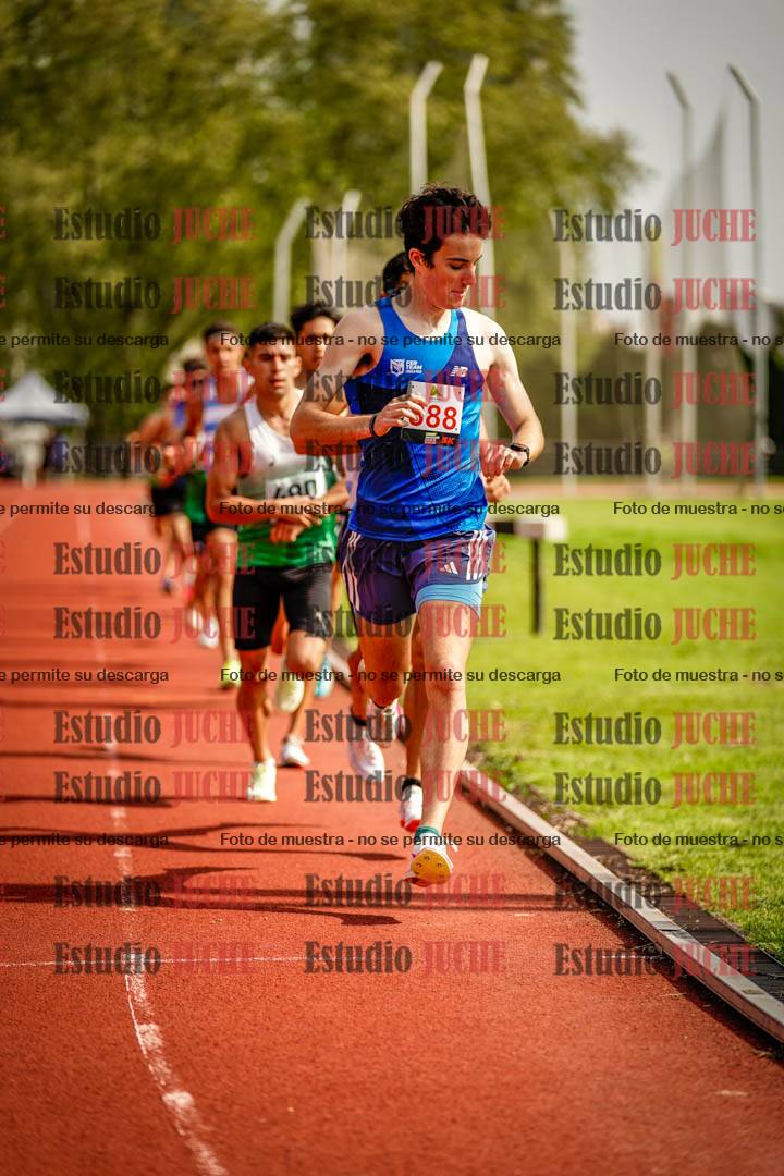 Fotos de los 3000 m llanos de varones