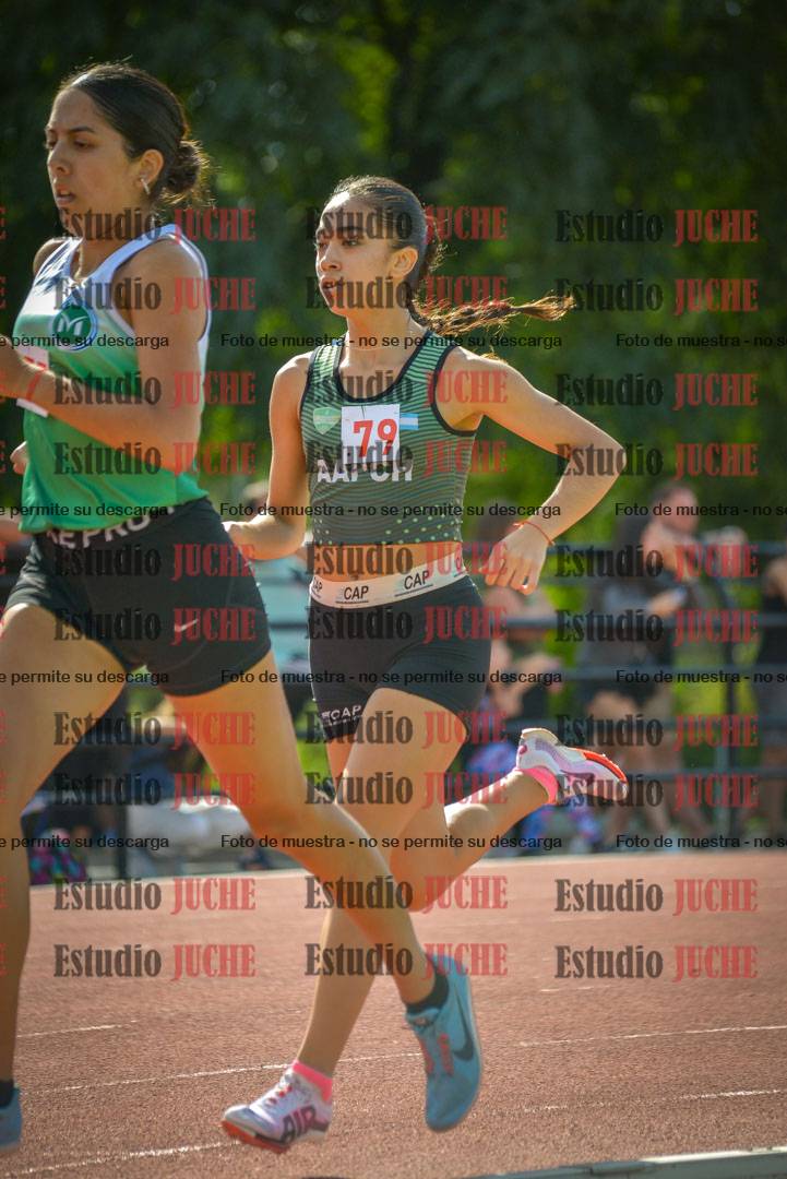 Fotos de los 800 m llanos de mujeres