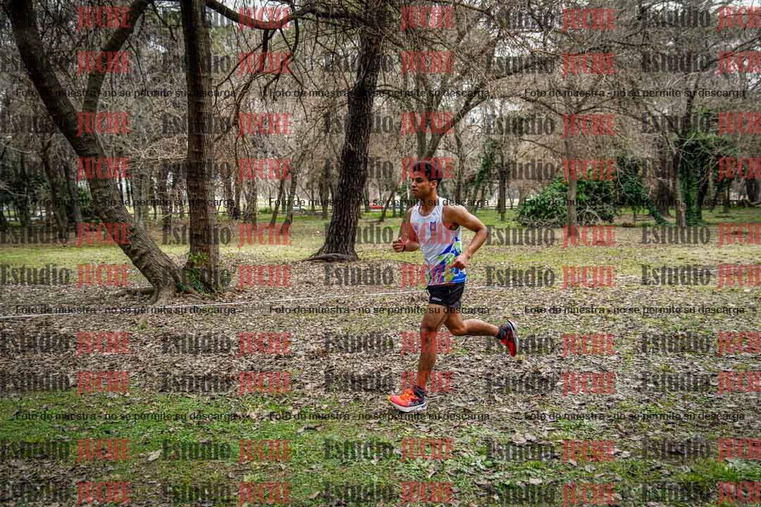 Fotos en el circuito