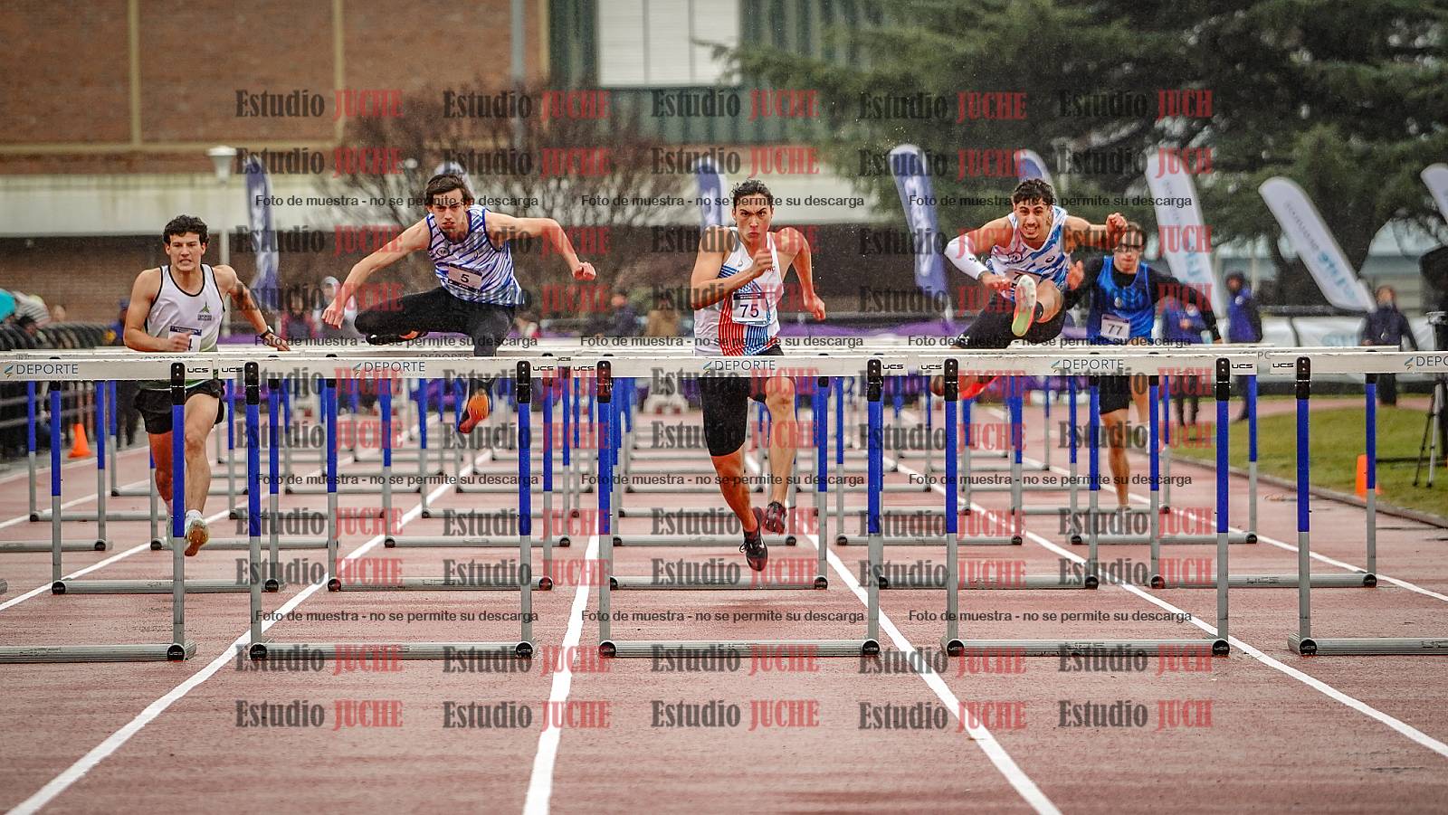 Fotos de los 110 m con vallas de varones - FINAL