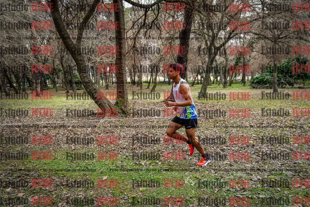 Fotos en el circuito