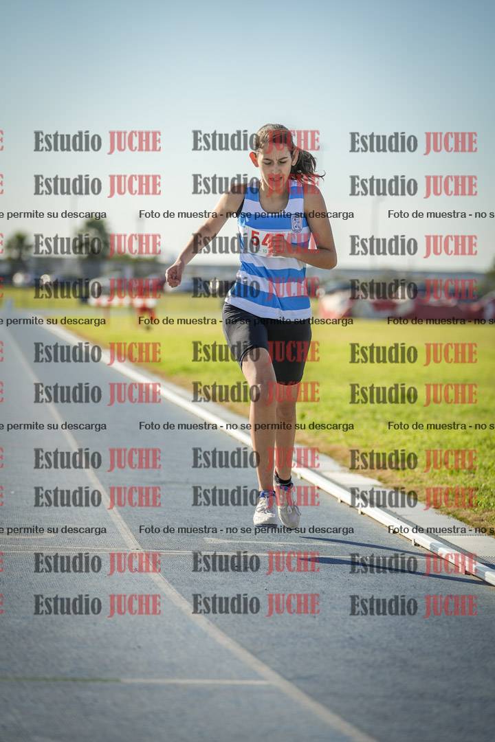 Fotos de los 1500 m llanos de mujeres
