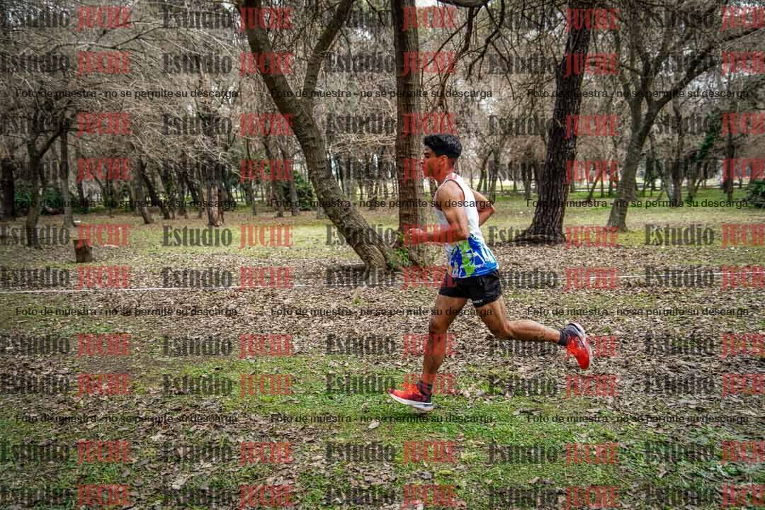 Fotos en el circuito