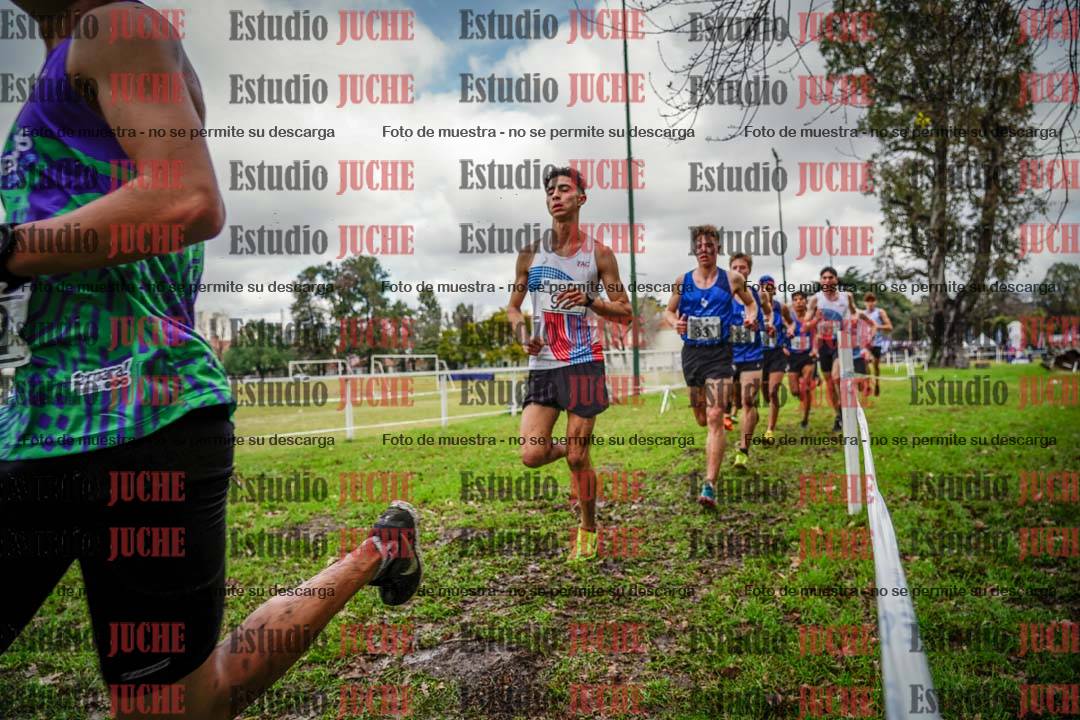 Fotos en el circuito